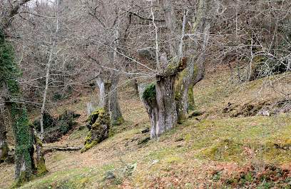 Natureza e Cultura nos Ancares