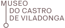 Museo do Castro de Viladonga